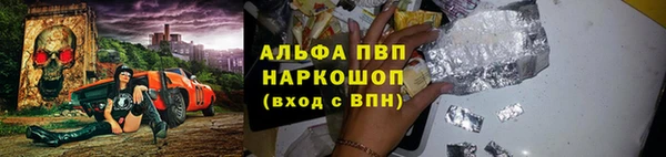ECSTASY Алзамай