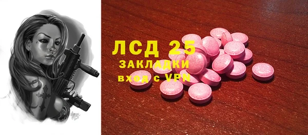 ECSTASY Алзамай
